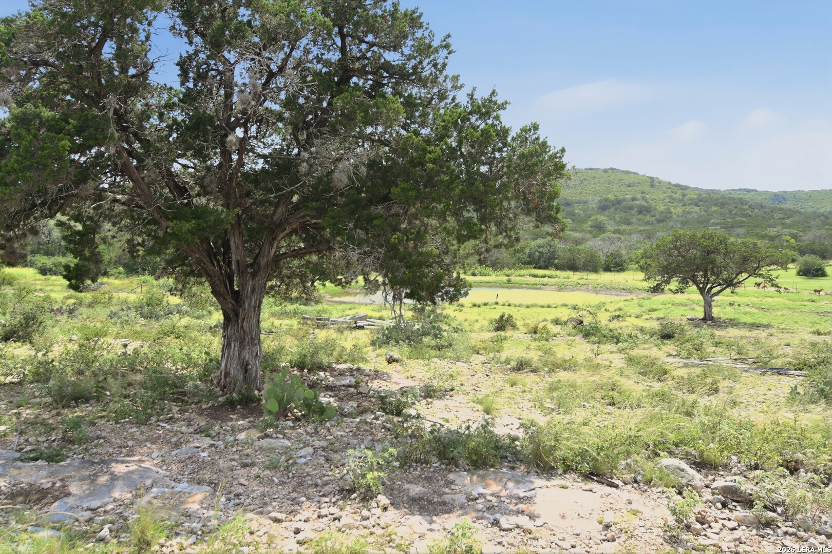 324 Private Road 3325, Sabinal, TX 78881 — photo 1
