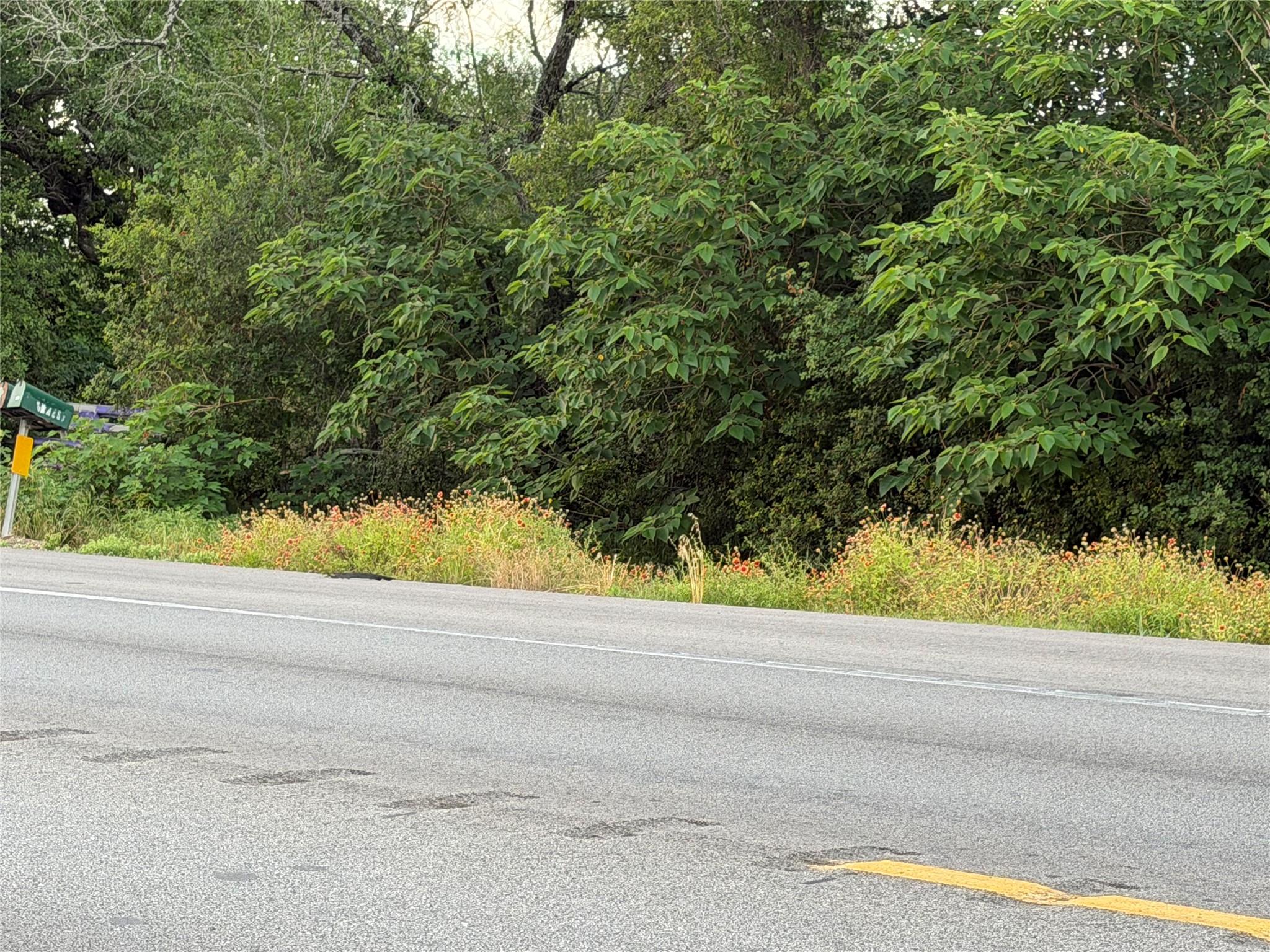 239 State Highway 21