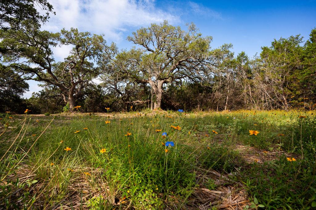 TBD Gatlin Creek Rd, Dripping Springs, TX 78620 — photo 1