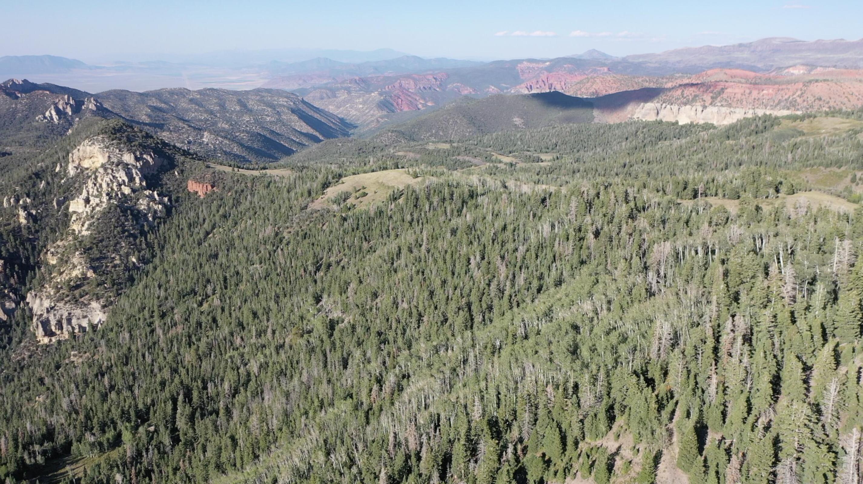 20 Acres Near Dry Lakes Road, Brian Head, UT 84719 — photo 1