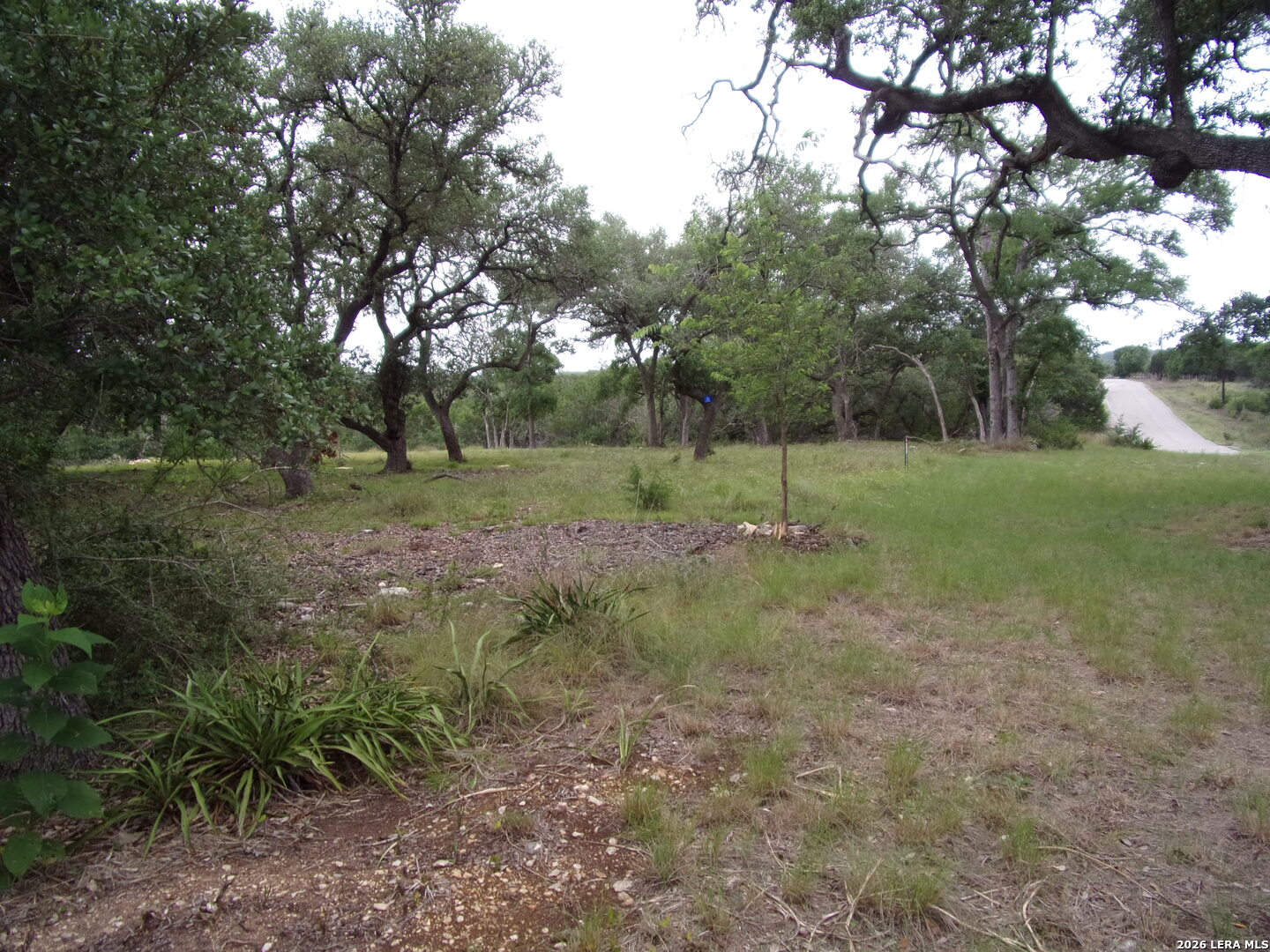 115 LA LUNA DR, , 78606 — photo 1