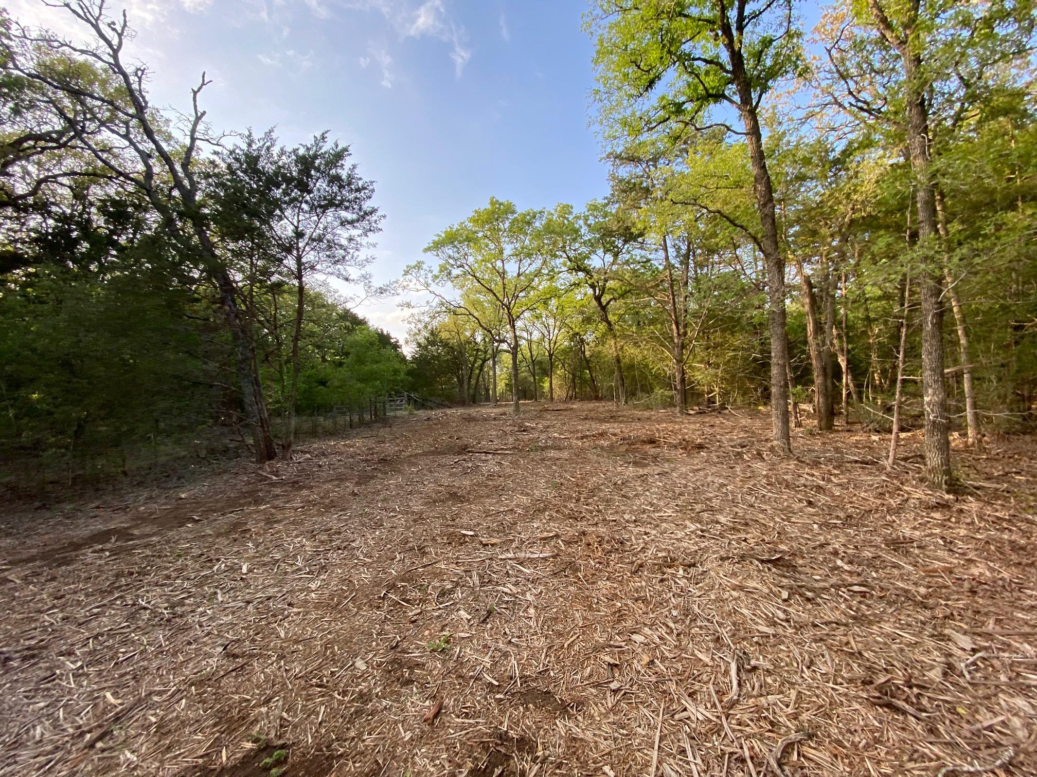 TBD Parcel 2 Paffen, Paige, TX 78659 — photo 1