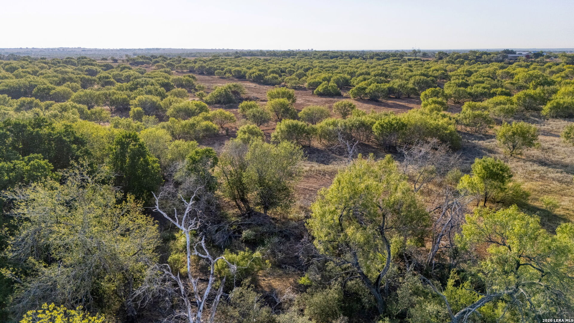 TBD CR 331 W, , 78026 — photo 1