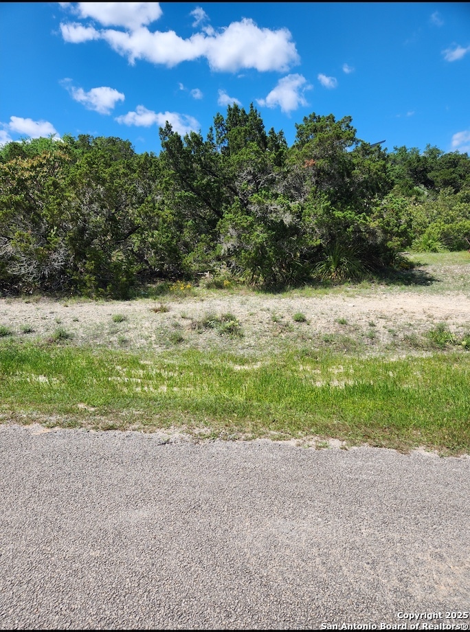 268 Scenic Hills, , 78133 — photo 1