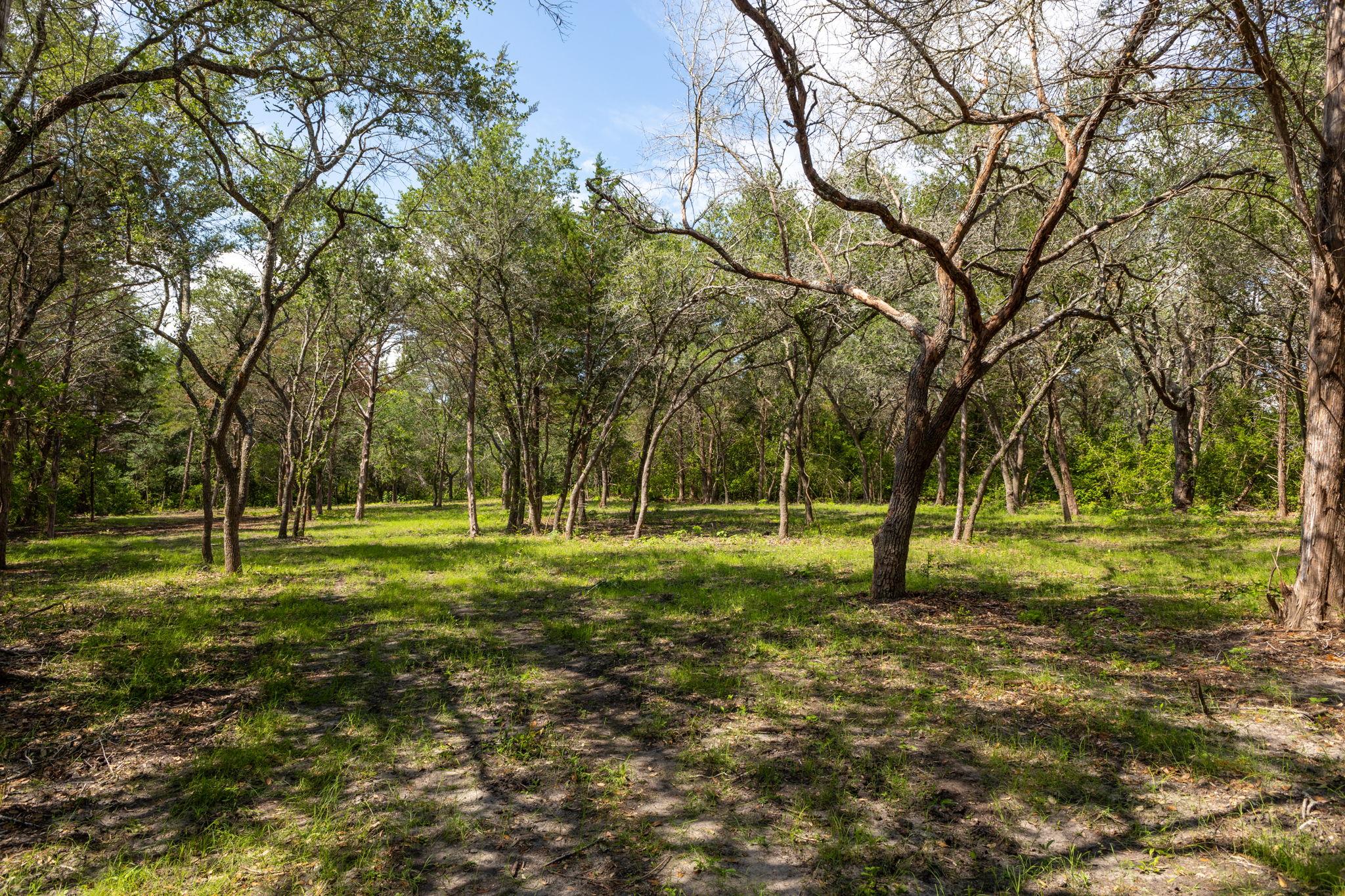 1910 (Tract #1) Baca, Flatonia, TX 78941 — photo 1