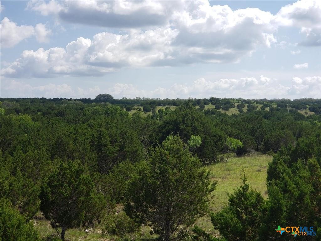 TBD County Road 1255 500 Acres, Lampasas, TX 76550 — photo 1