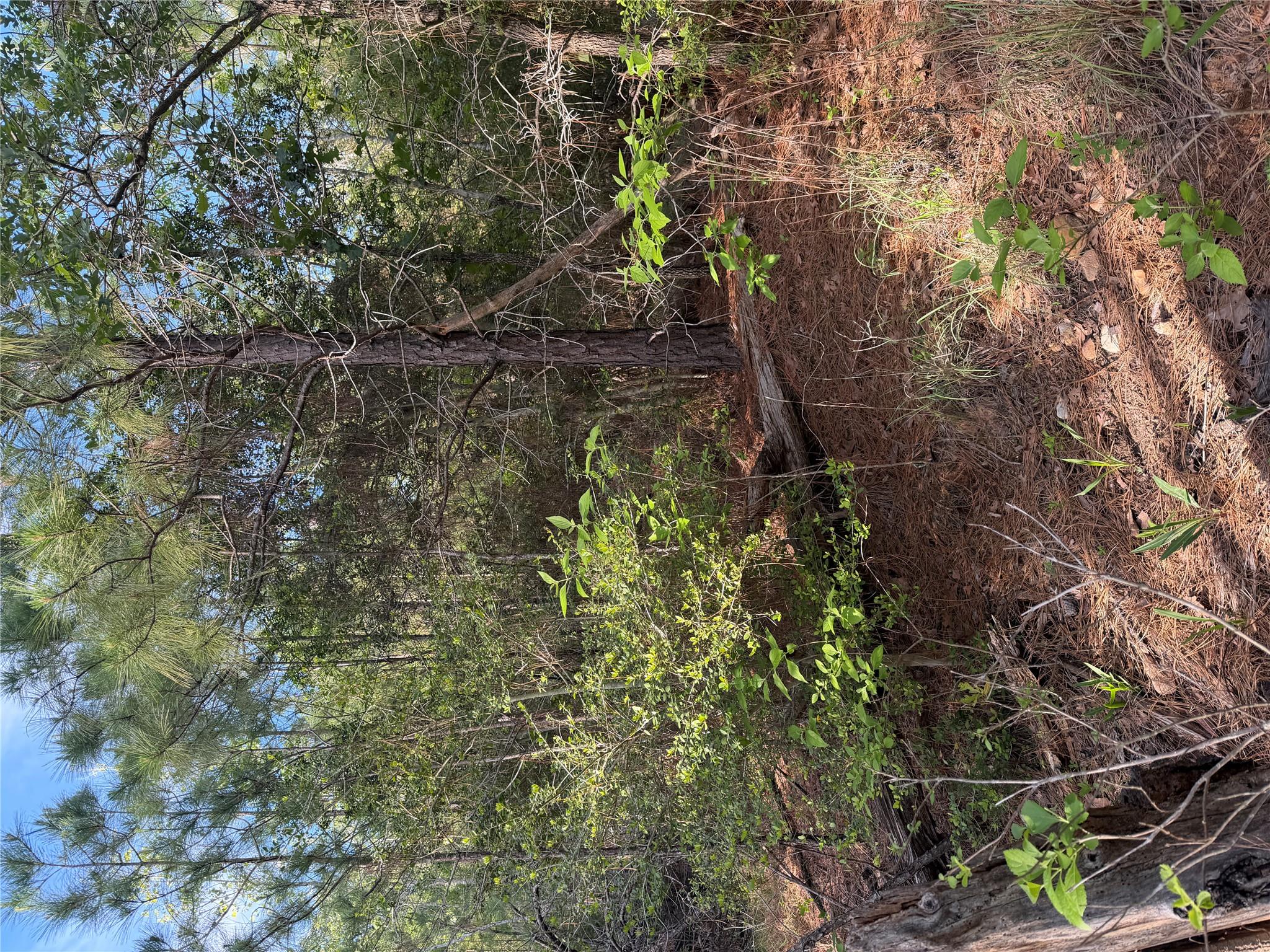 Lot 1384 Pahihi, Bastrop, TX 78602 — photo 1