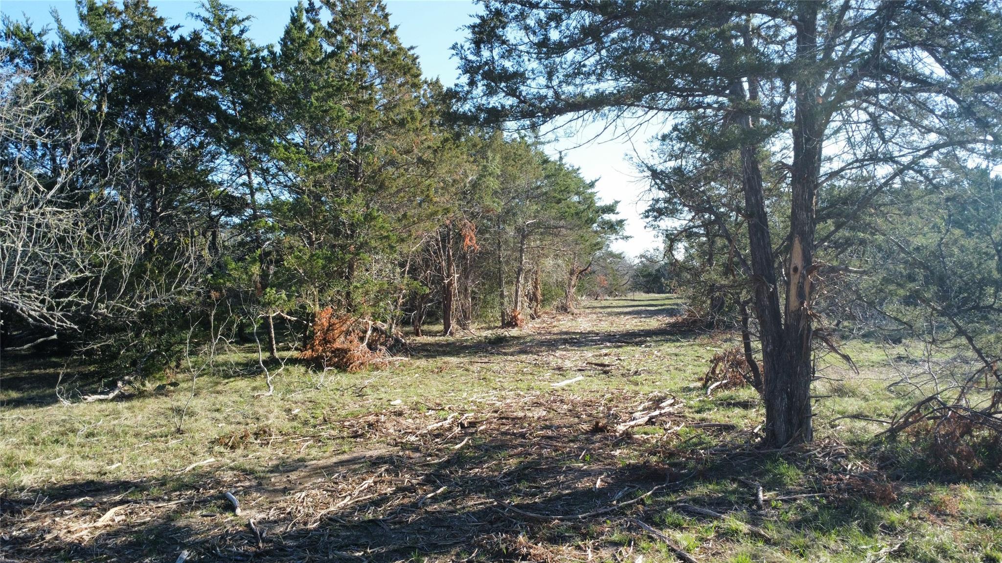 TBD Lot 7 Patterson, Flatonia, TX 78941 — photo 1