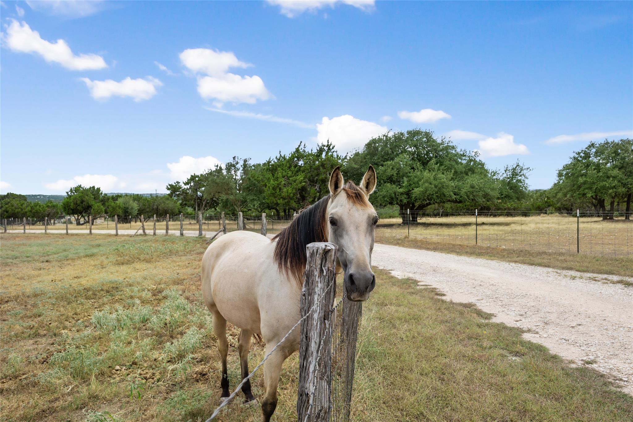 2400 Fitzhugh, Dripping Springs, TX 78620 — photo 1