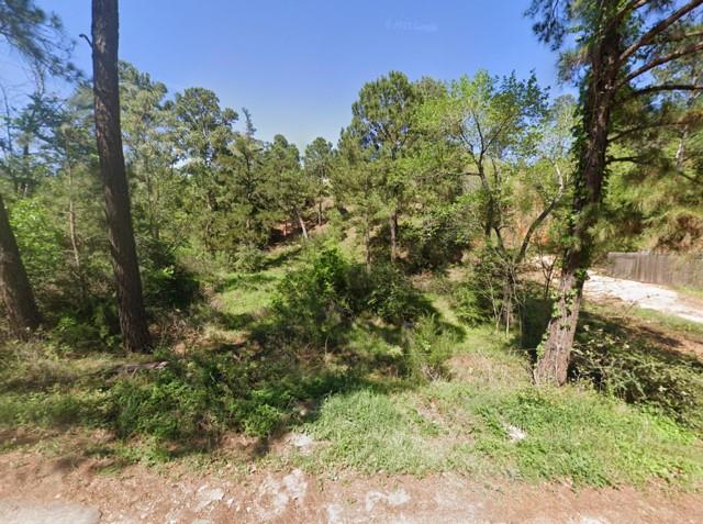 000 Wahane, Bastrop, TX 78602 — photo 1