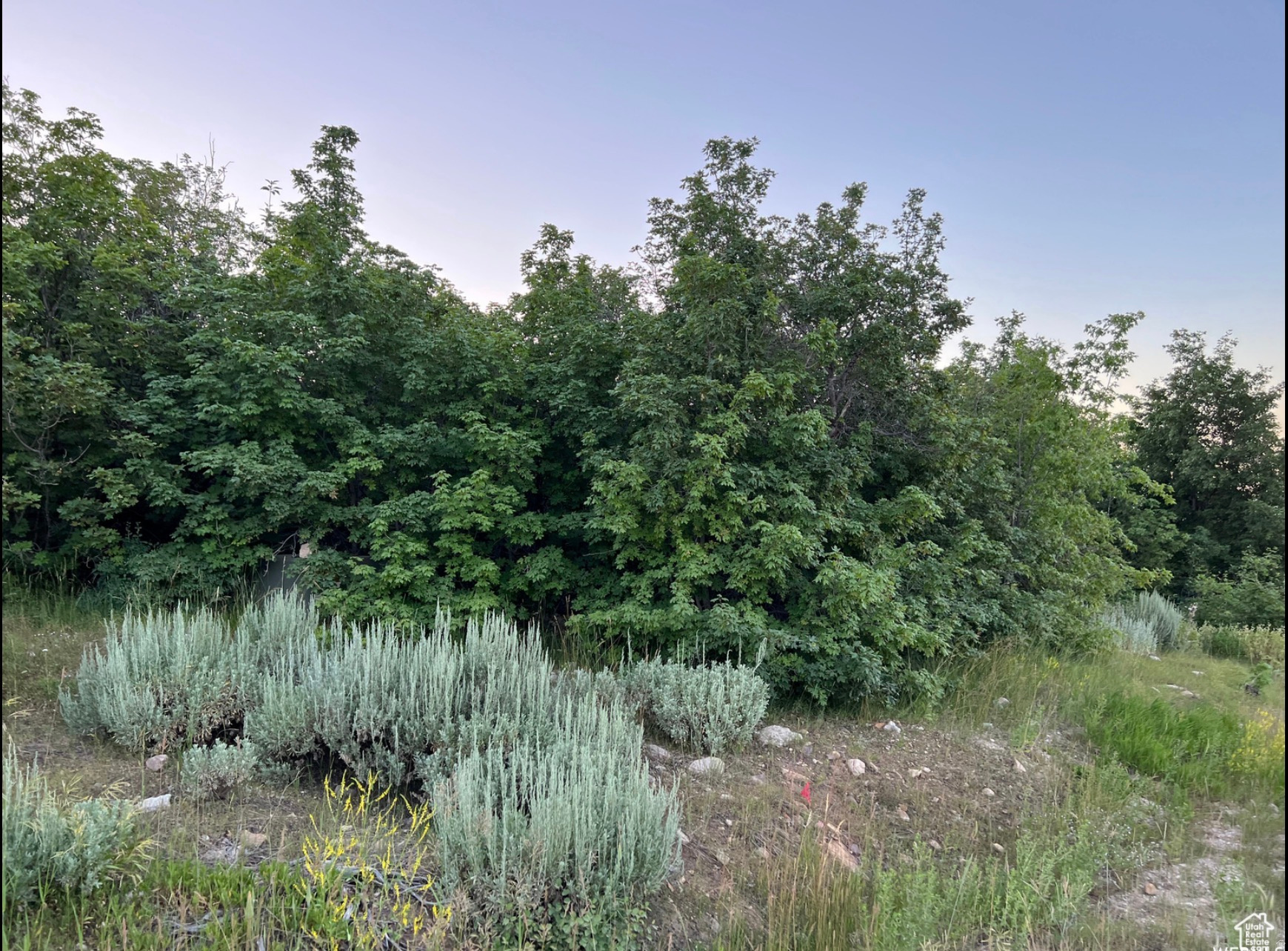 58 JUNIPER DR, Fish Haven, ID 83287 — photo 1
