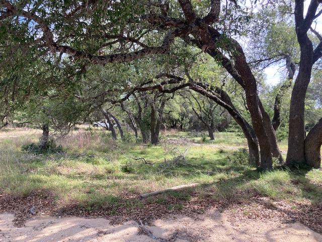 1050 Harmon Hills Rd, Dripping Springs, TX 78620 — photo 1