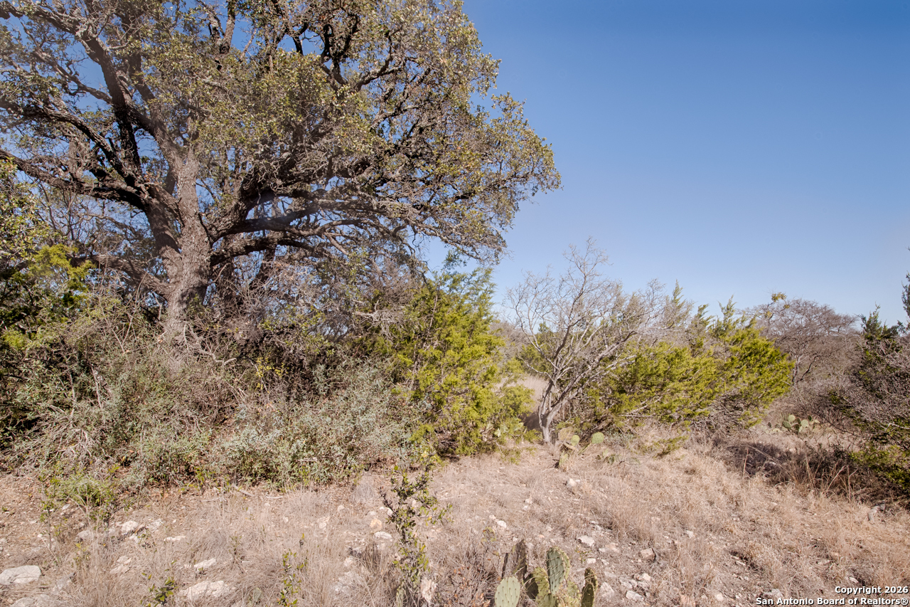 LOT 34 Spring Bluff, Junction, TX 76849 — photo 1
