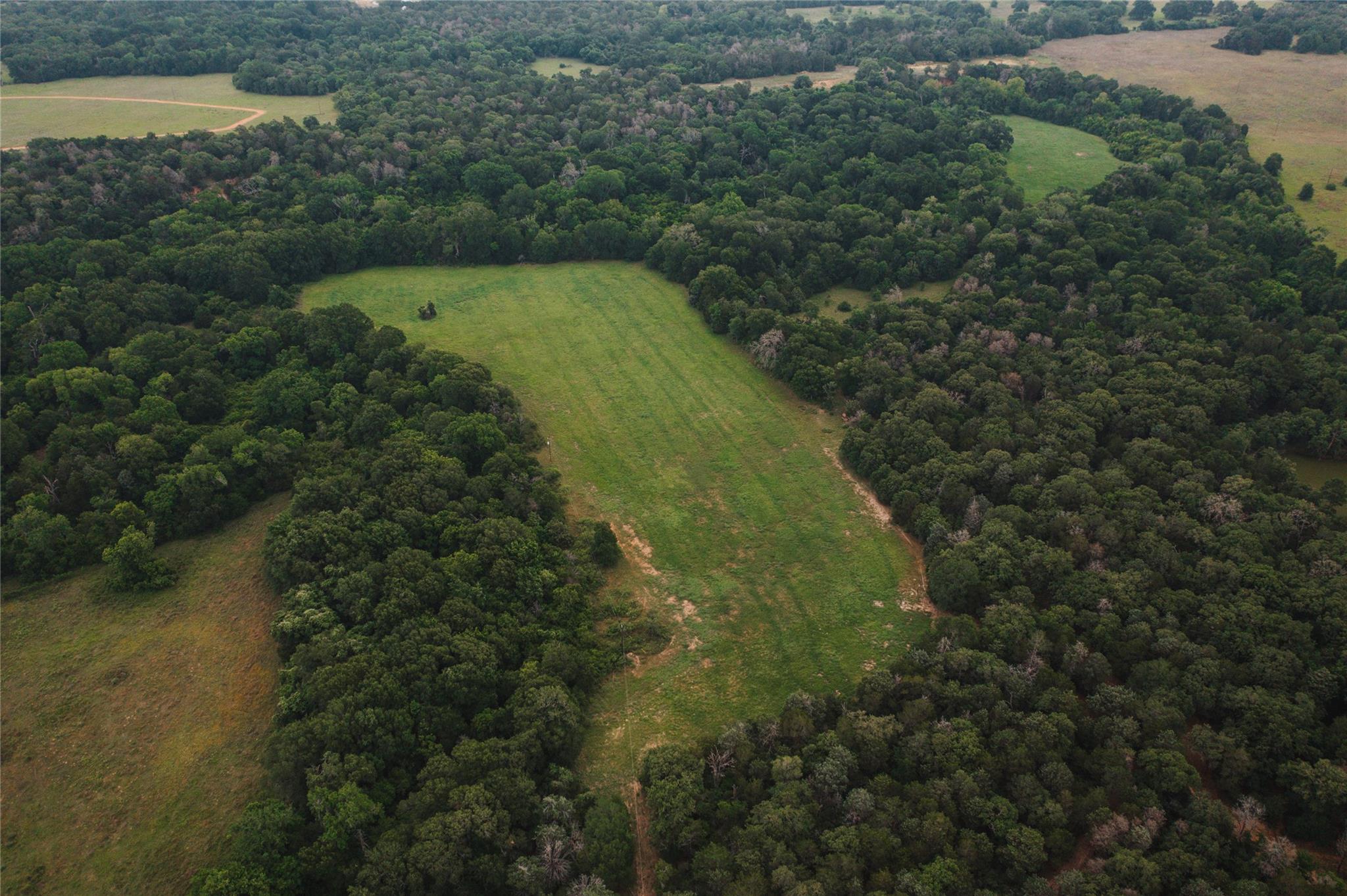 00  St Delight Rd, Paige, TX 78659 — photo 1