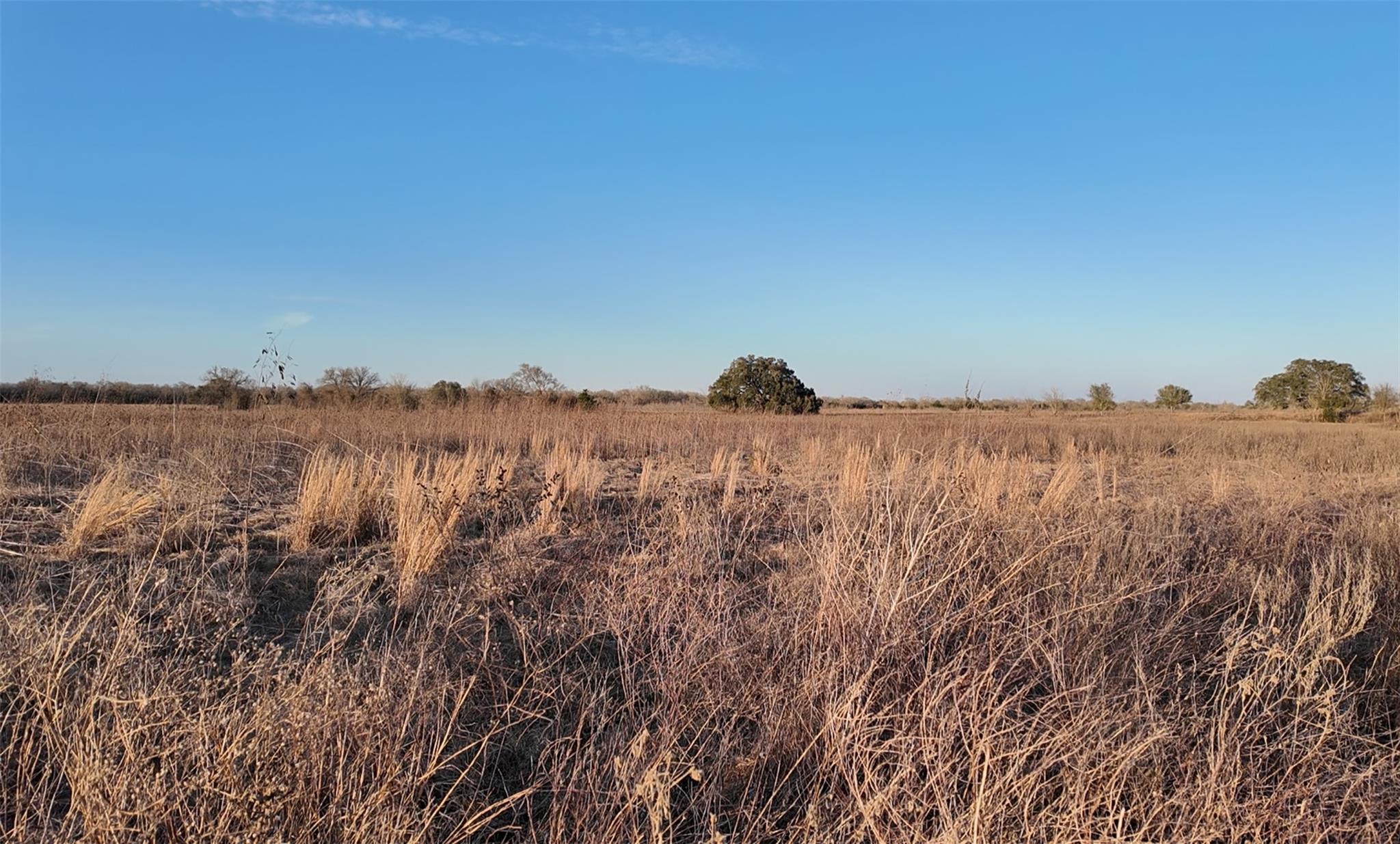 TBD (Tract 5)  CR 119 None, Ledbetter, TX 78946 — photo 1