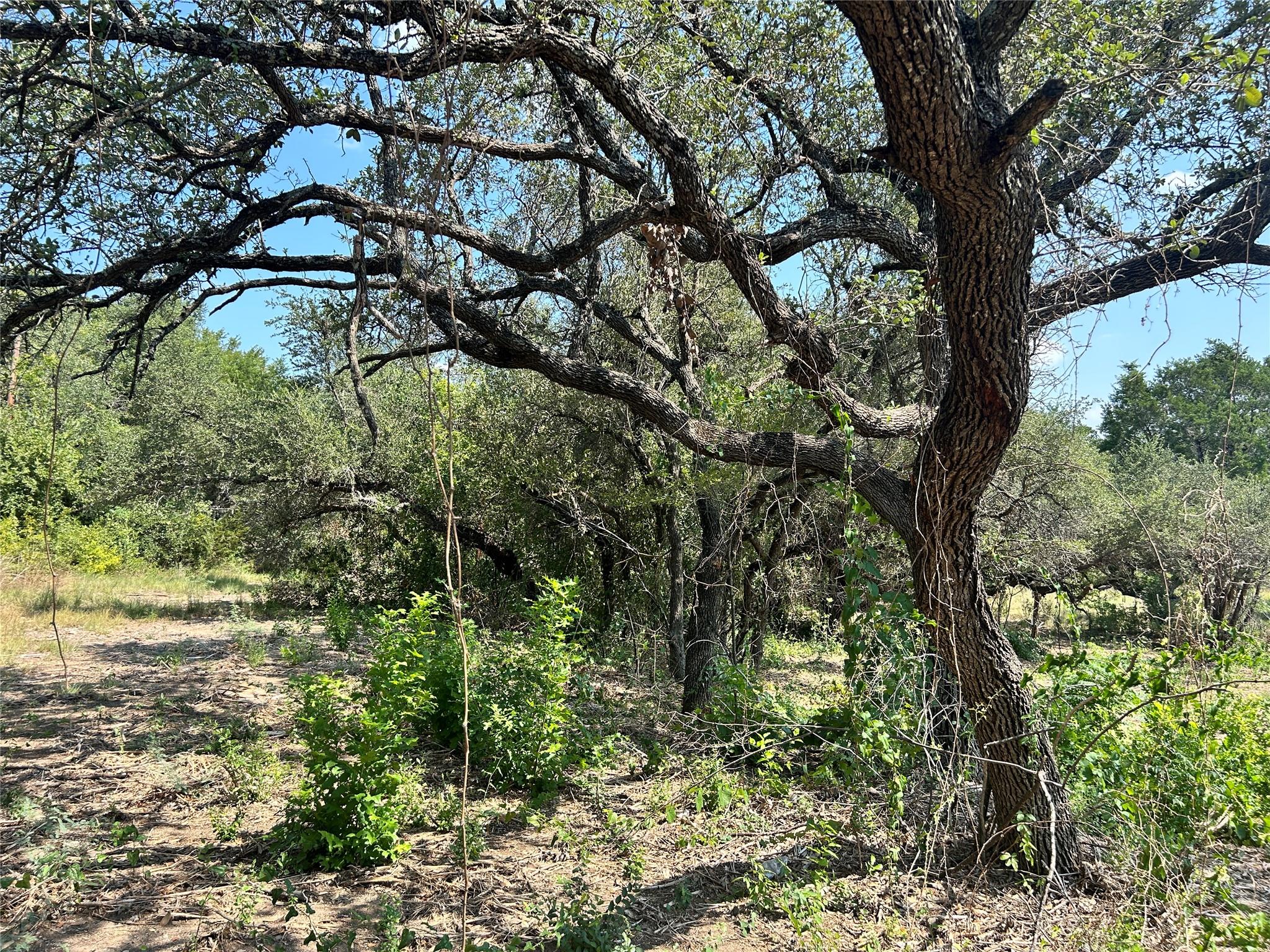 18310  Austin Dr, Jonestown, TX 78645 — photo 1