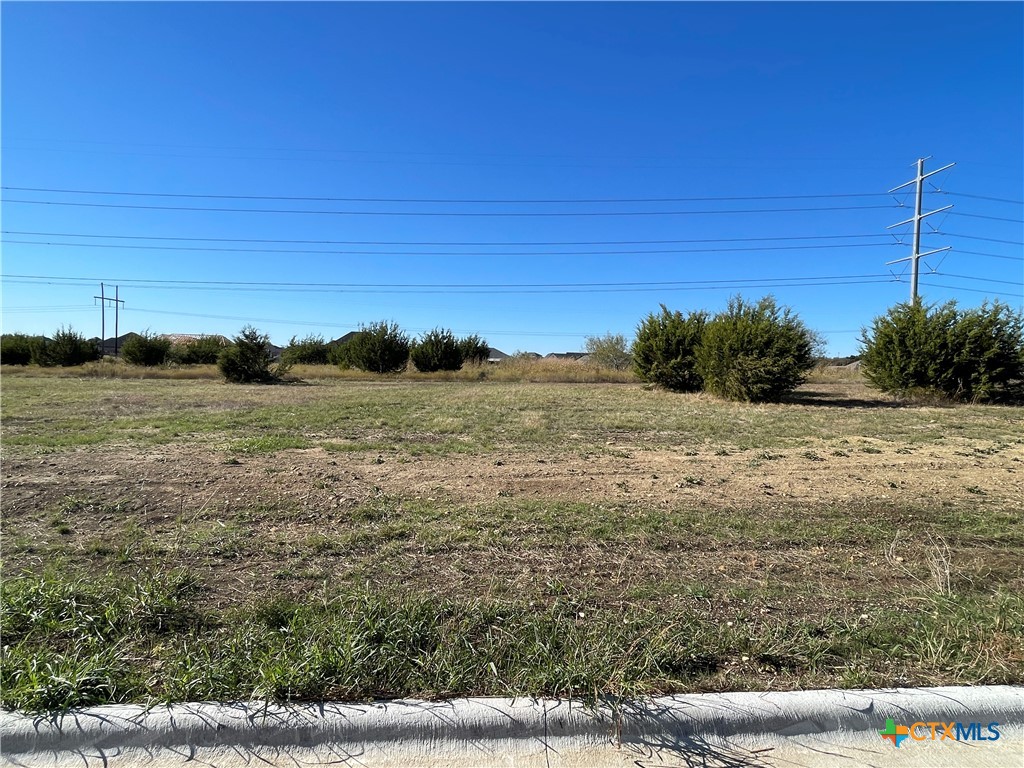 1955 Slade Drive, Salado, TX 76571 — photo 1
