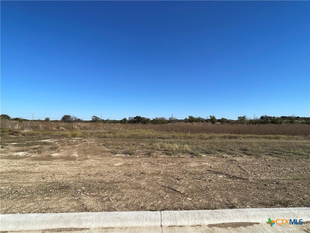2038 Botts Drive, Salado, TX 76571 — photo 1