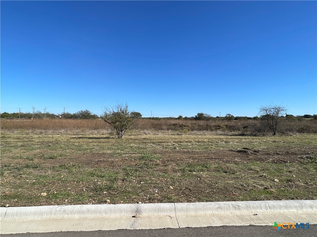 2020 Botts Drive, Salado, TX 76571 — photo 1