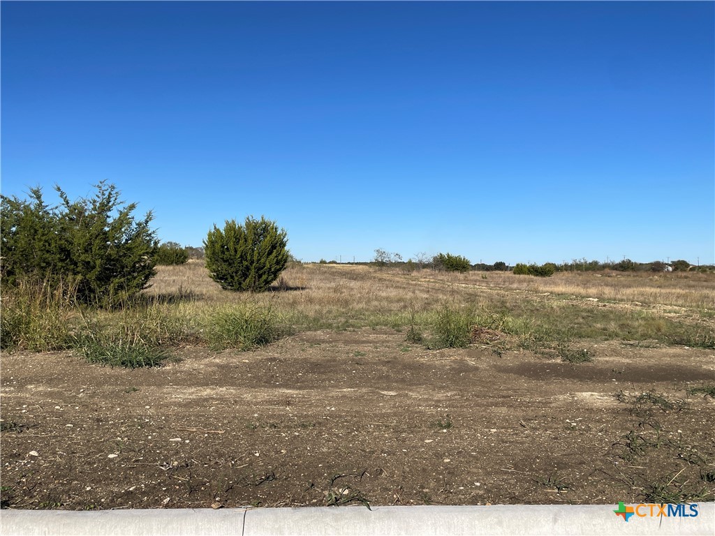 1831 Dorian Drive, Salado, TX 76571 — photo 1
