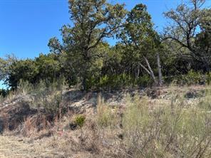 19001 Silver Maple Dr, Lago Vista, TX 78645 — photo 1