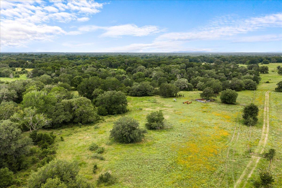 8413  Mach Rd, La Grange, TX 78945 — photo 1