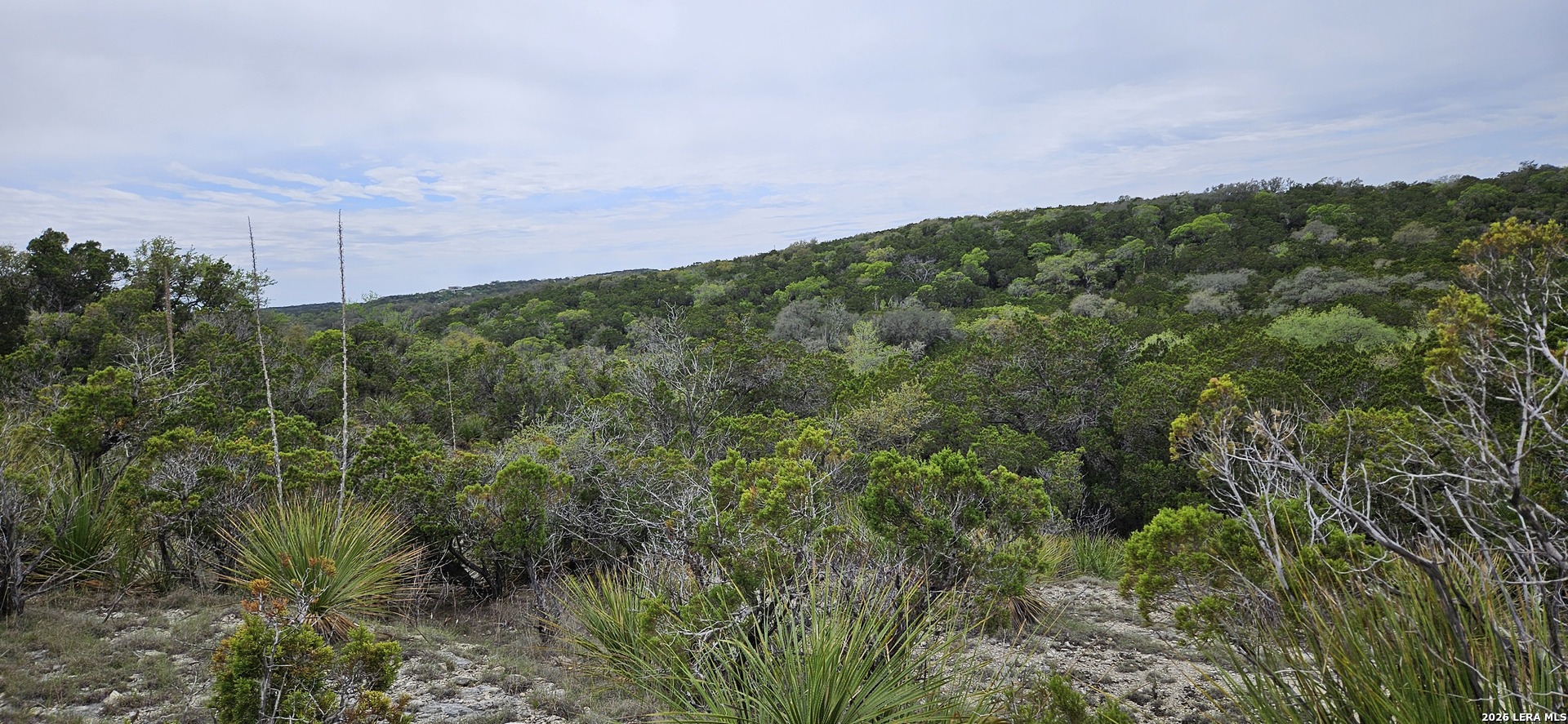 21207 Scenic Loop, ,  78023 — photo 1