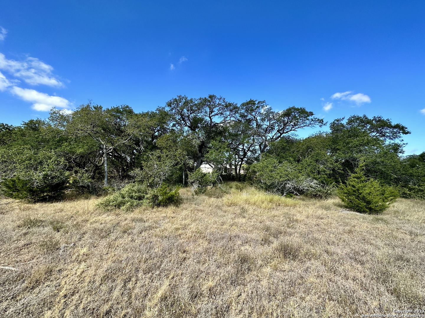 34676 Ansley Ridge Trl, ,  78163 — photo 1