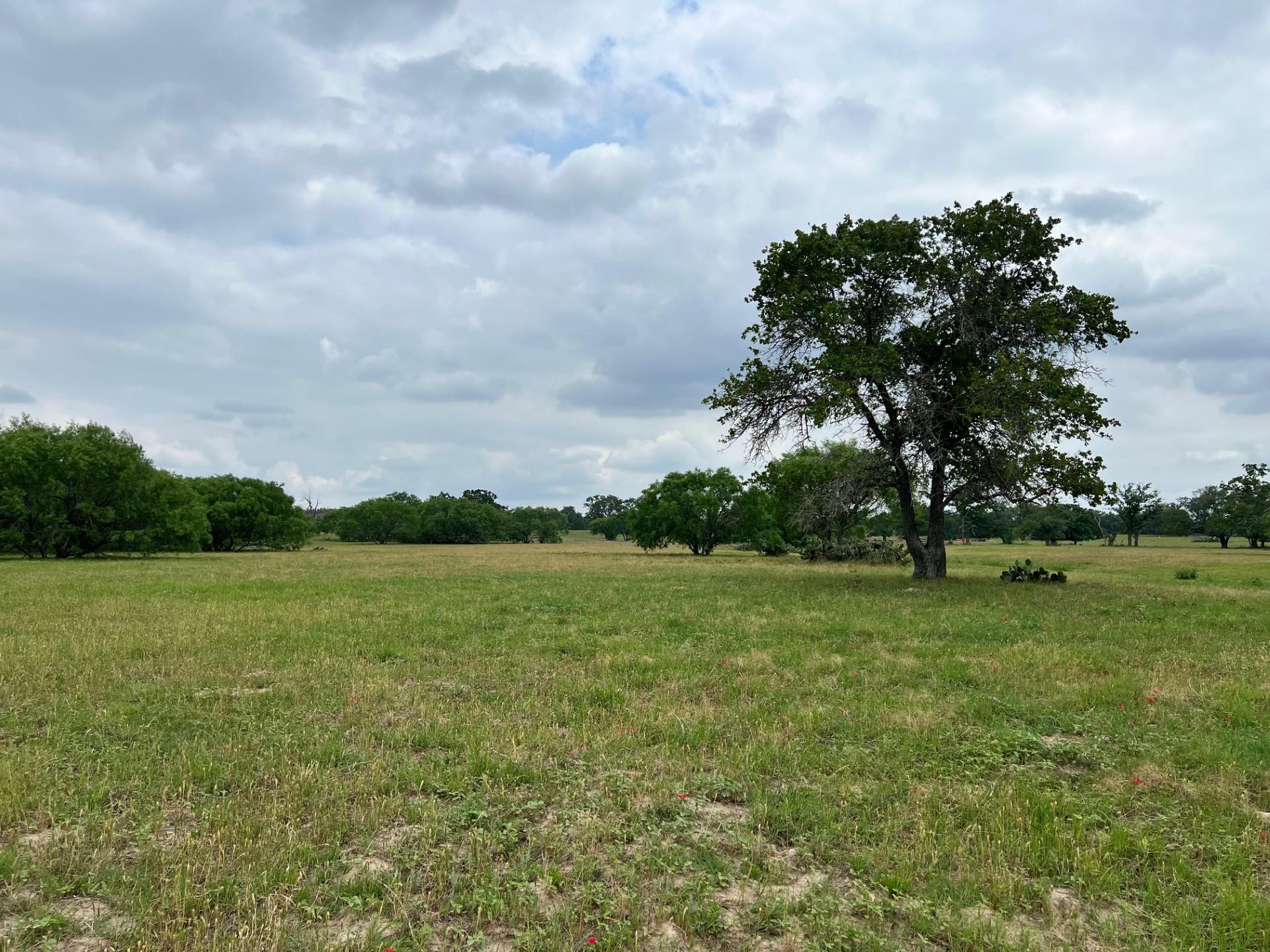 Lot 17 Settlement, Luling, TX 78648 — photo 1