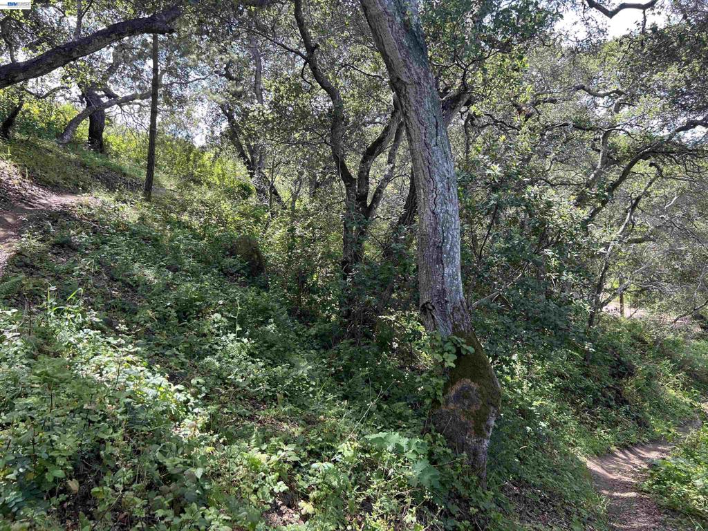 00 Marburger Ave., Belmont, CA 94002 — photo 1