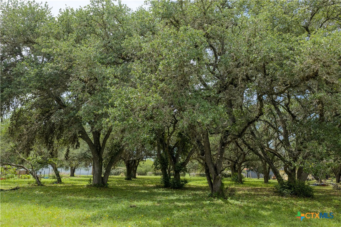 TBD John Wayne Trail, Victoria, TX 77905 — photo 1