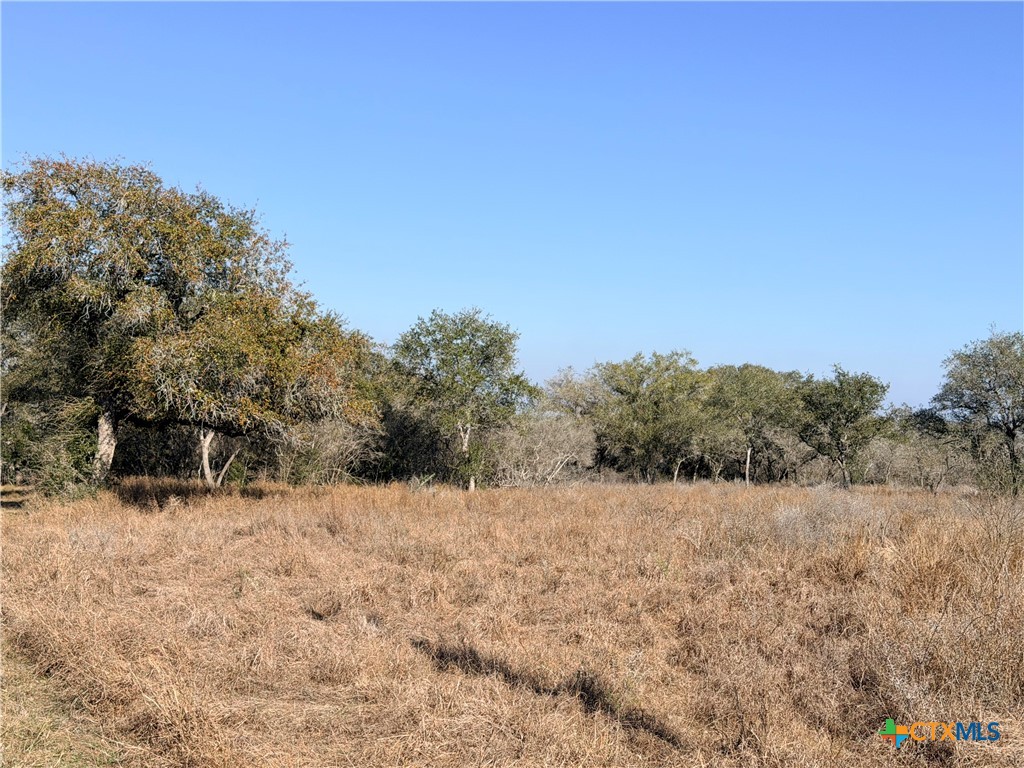 1776 FM 1351, Goliad, TX 78746 — photo 1