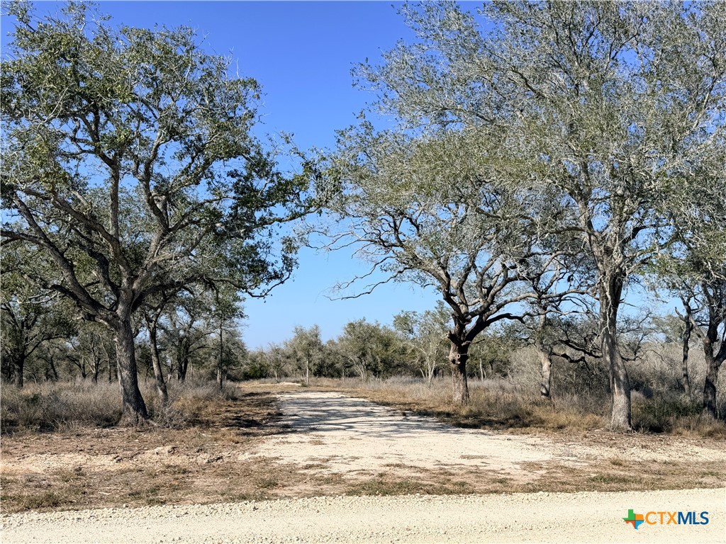 1776 FM 1351, Goliad, TX 77963 — photo 1