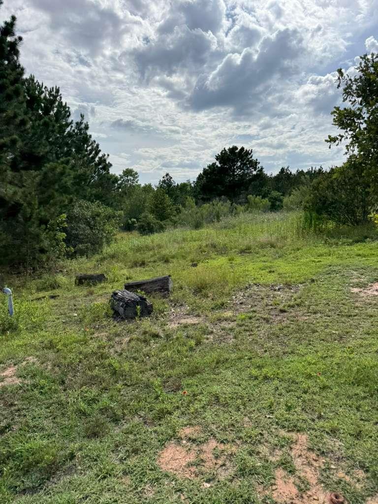 109 Pintail, Paige, TX 78659 — photo 1
