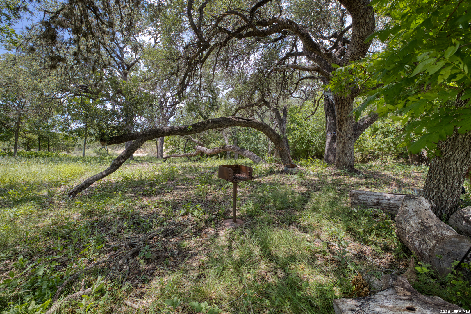 00 Cr 393, ,  78833 — photo 1