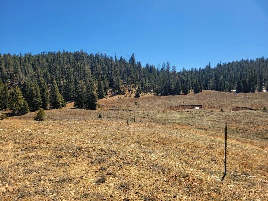 520 N Grassy Trail, Duck Creek, UT 84762 — photo 1