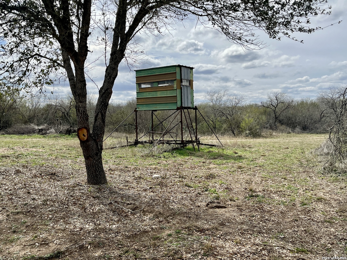 0 CR 132, ,  78119 — photo 1