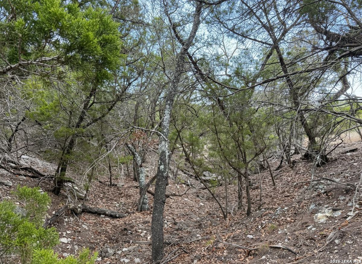 898 Mountain View Lane, ,  78063 — photo 1
