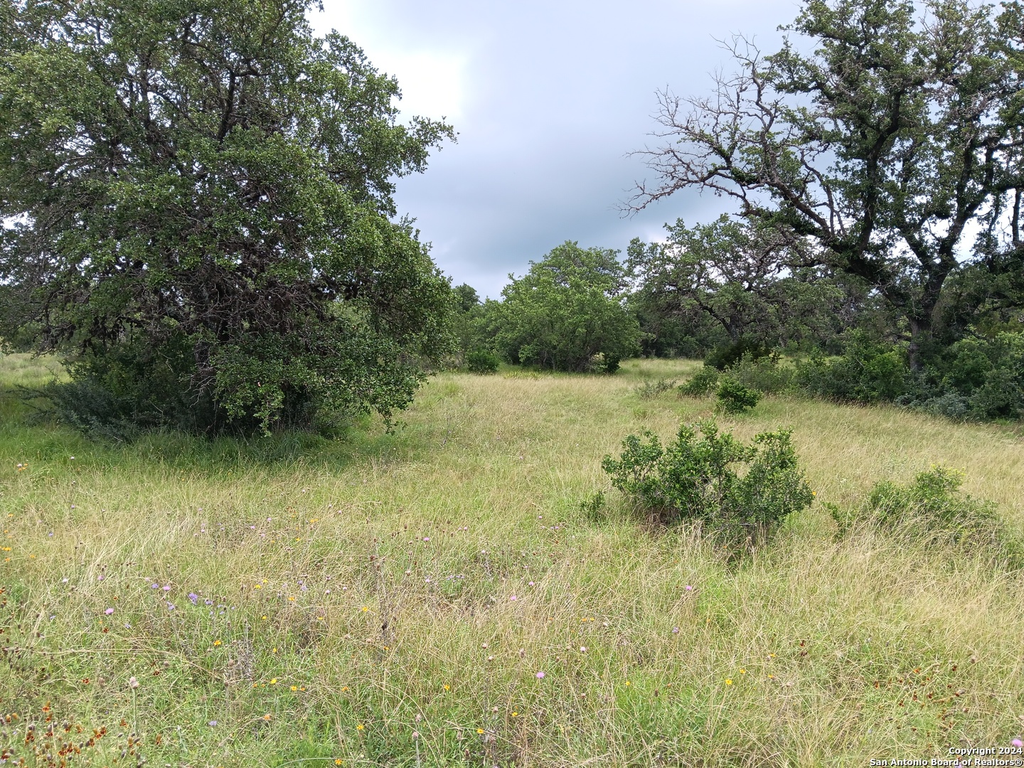 LOT 92 Summit Ridge Trail, ,  78636 — photo 1