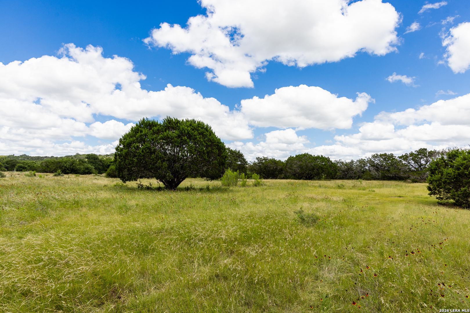 289 Hoot Owl Hollow, , 78025 — photo 1