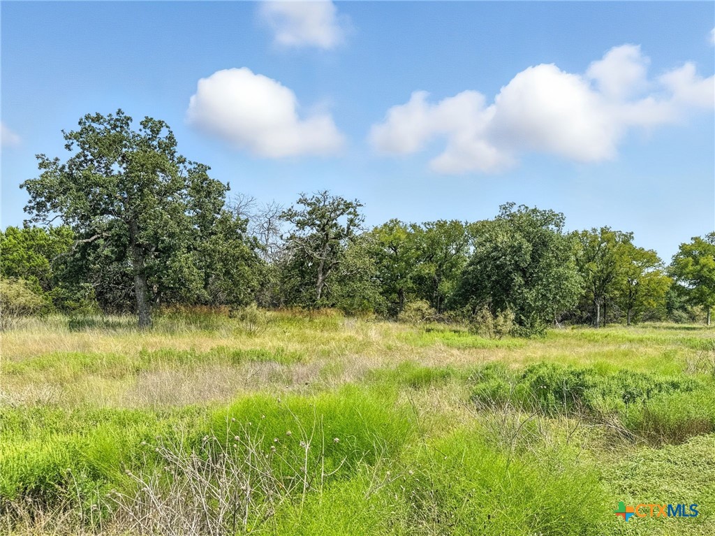 Lot 39 Ph 6 Private Road 42103, Evant, TX 76525 — photo 1