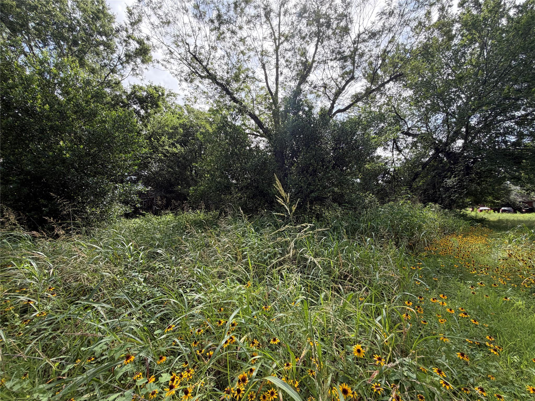 305 Ross, Smithville, TX 78957 — photo 1