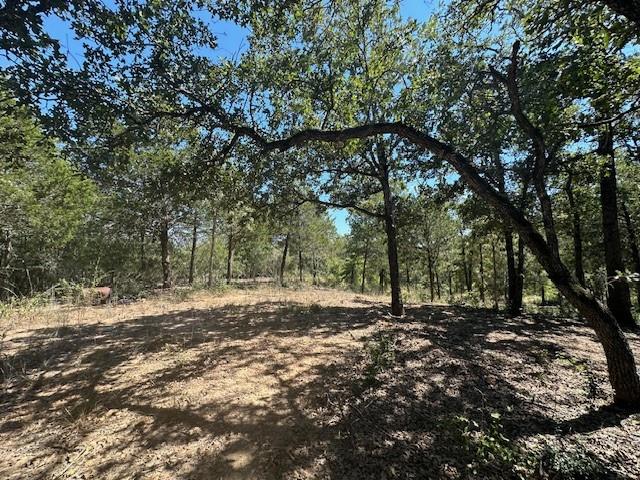 0 TBD lot 103 Ripple Brook, Bastrop, TX 78602 — photo 1