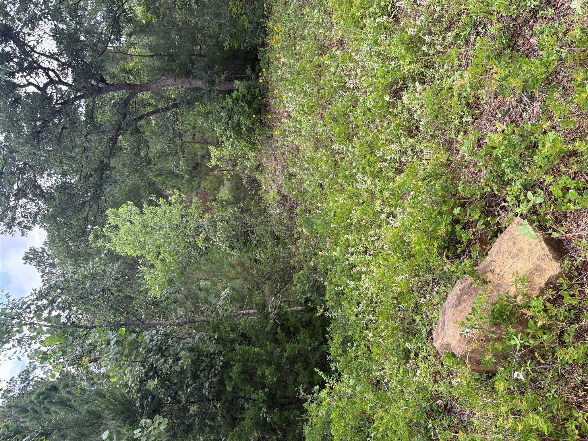 TBD Kaena, Bastrop, TX 78602 — photo 1