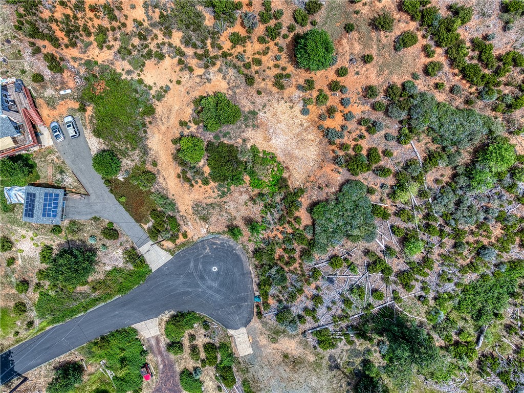 9738 Hoberg Drive E, Cobb, CA 95426 — photo 1