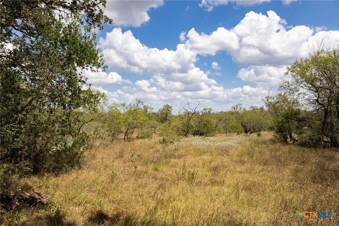 211 Halm Road, Seguin, TX 78155 — photo 1
