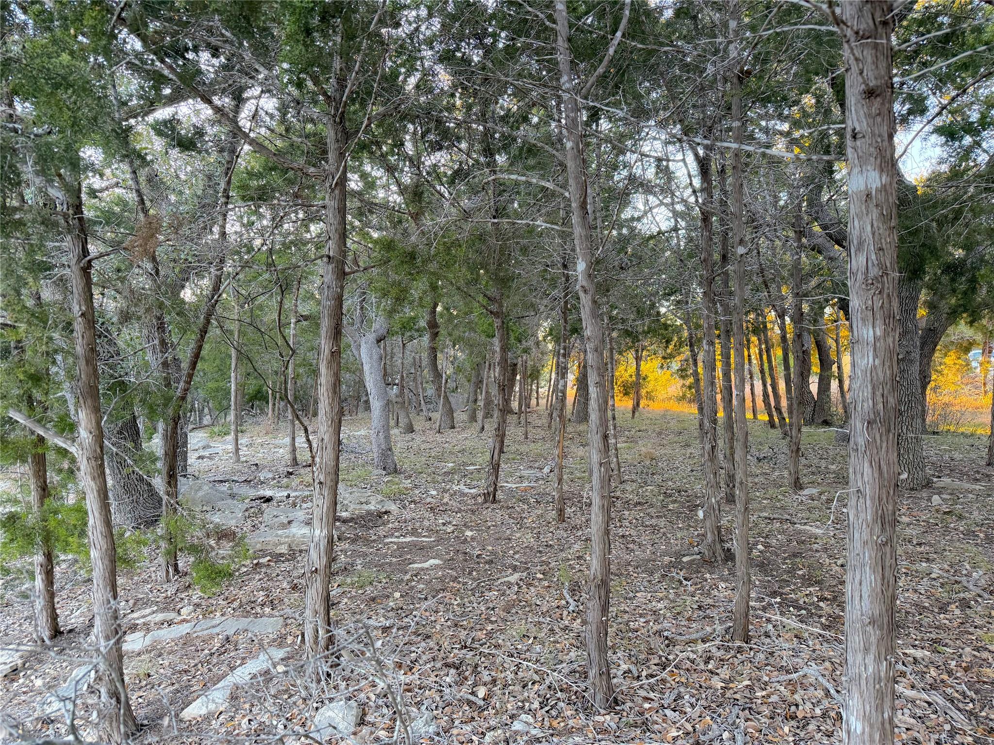 209 Legacy, Canyon Lake, TX 78133 — photo 1