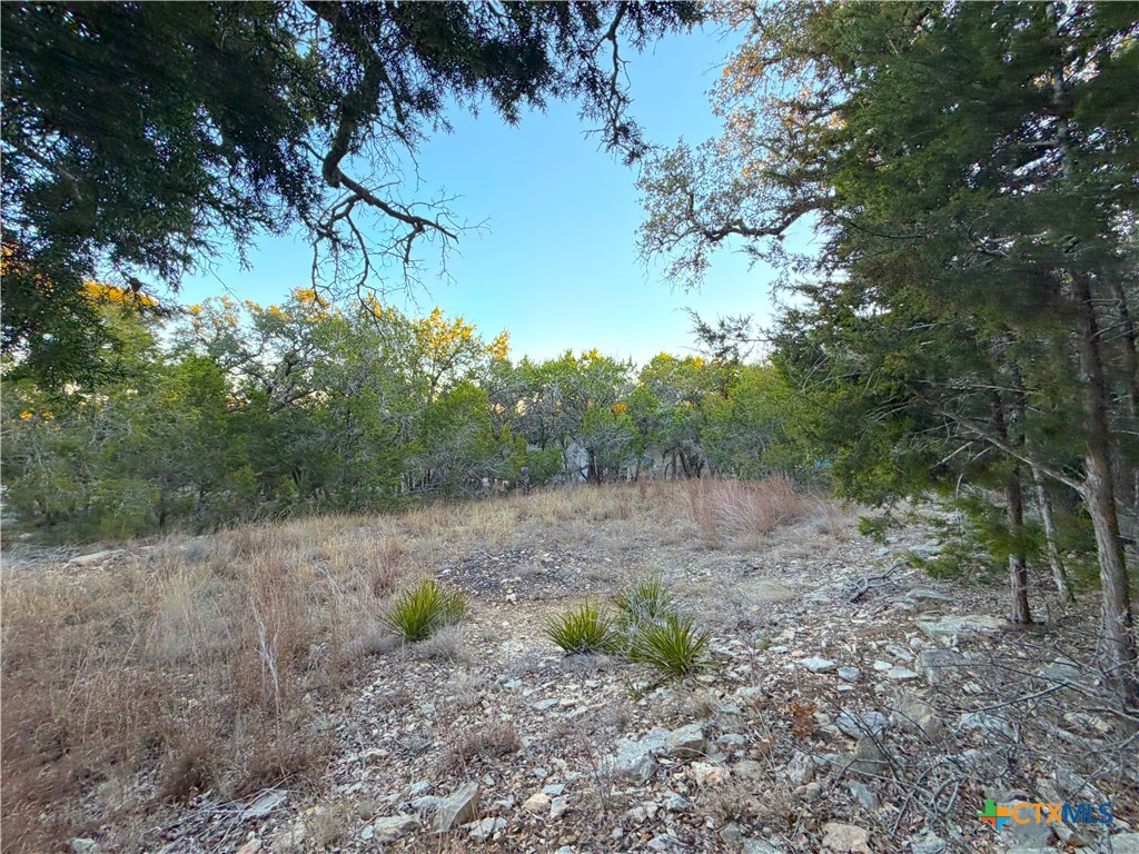 209 Legacy Ridge, Canyon Lake, TX 78133 — photo 1