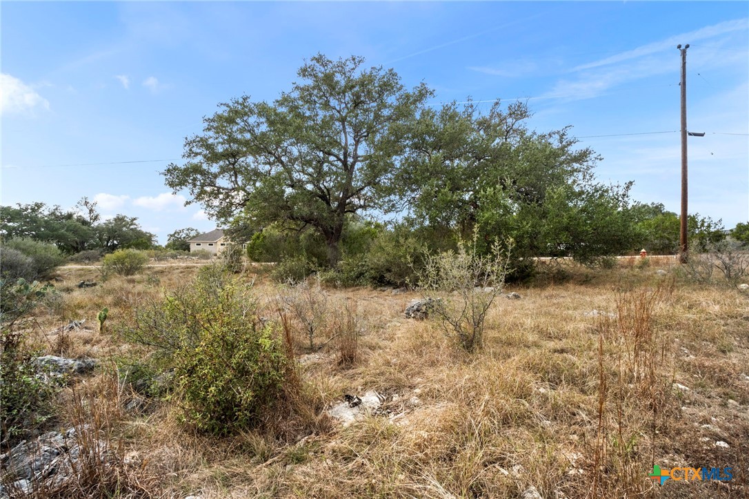137 Red Tail Cove, Spring Branch, TX 78070 — photo 1