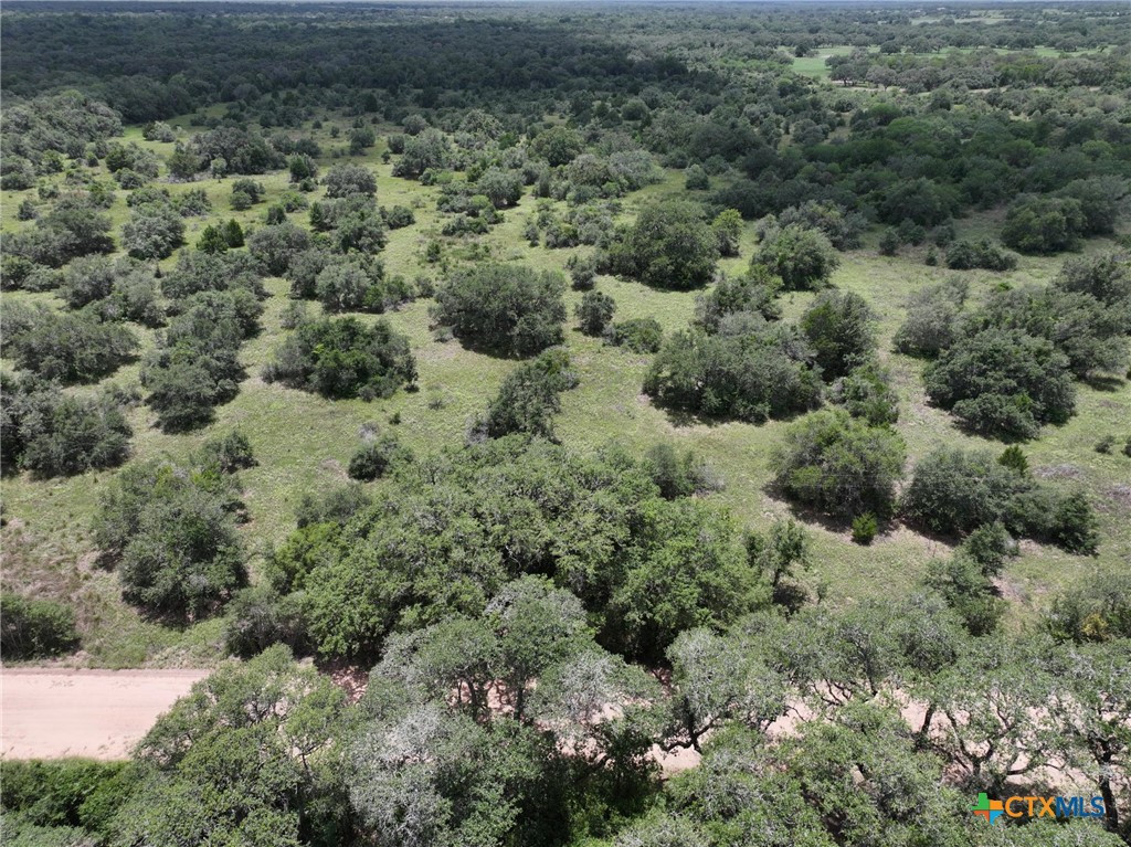 0000 Terryville Church Road, Yoakum, TX 77995 — photo 1